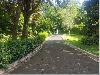 Residential Lot with Old Bungalow for Sale in La Vista Subdivision, Quezon City